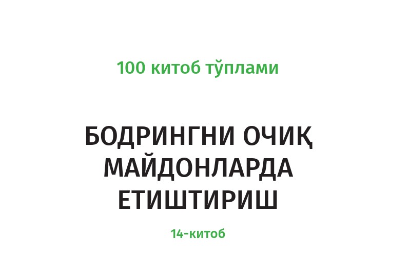 Выращивание огурцов в открытом грунте