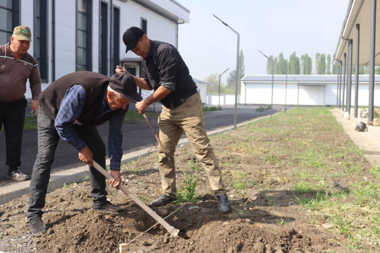 В рамках проекта «Зеленое пространство» проведены работы по посадке деревьев и благоустройству.