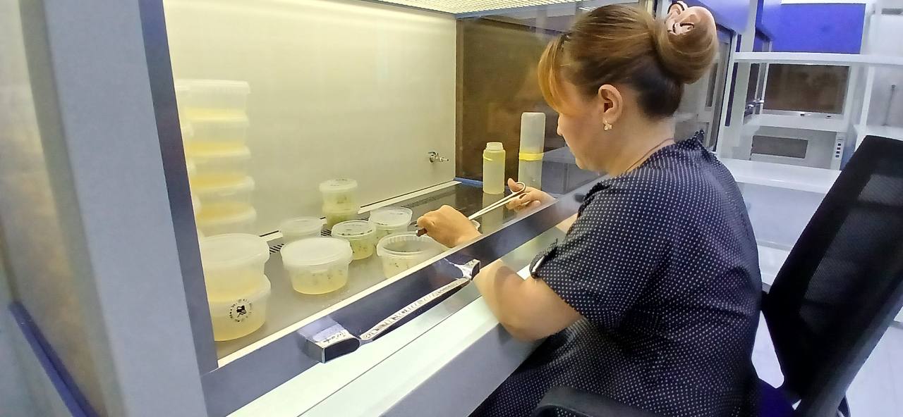 Типовые испытатели совершенствуют свои знания и навыки