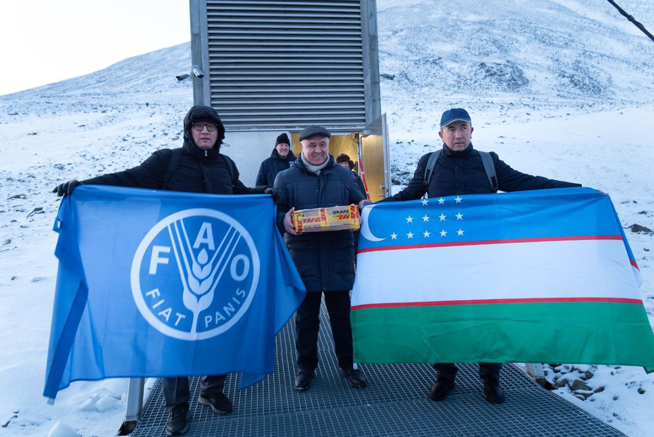 Узбекские семена в магазине семян Svalbard World!