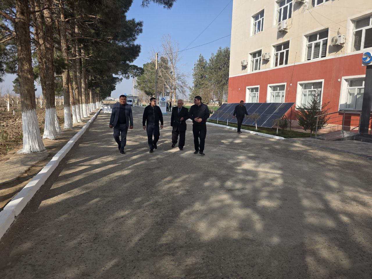 Изучена деятельность института тонковолокнистого хлопководства.