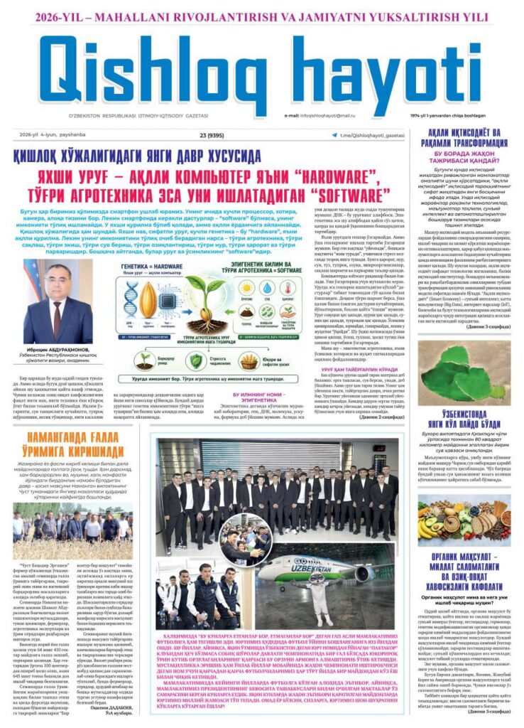 Газета деревенской жизни