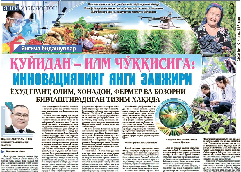 Снизу вверх: новая цепочка инноваций или система, которая соединяет грант, ученого, домохозяйство, фермера и рынок