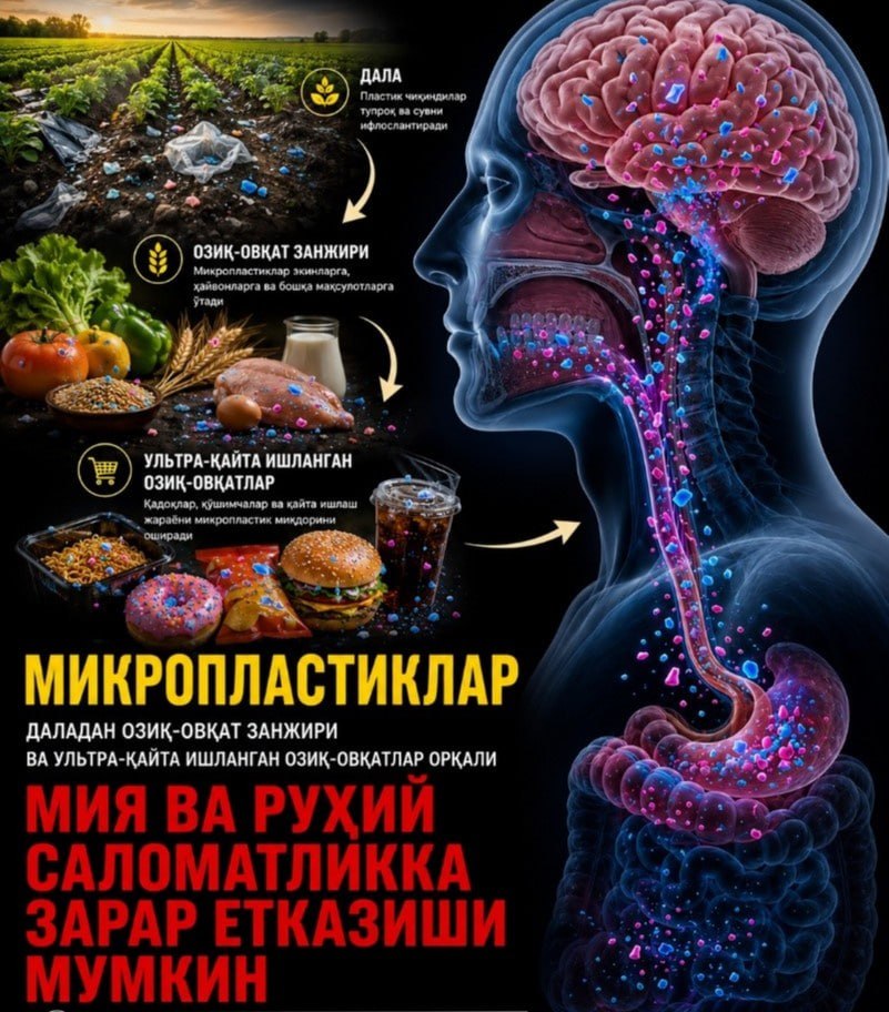 Куда уходит пластик, оставшийся в поле?