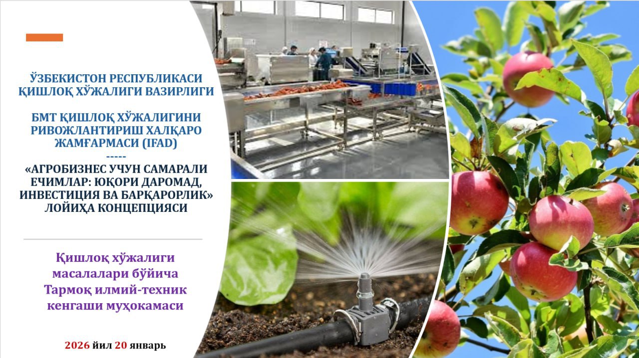Состоялось очередное заседание Научно-технического совета по вопросам сельского хозяйства