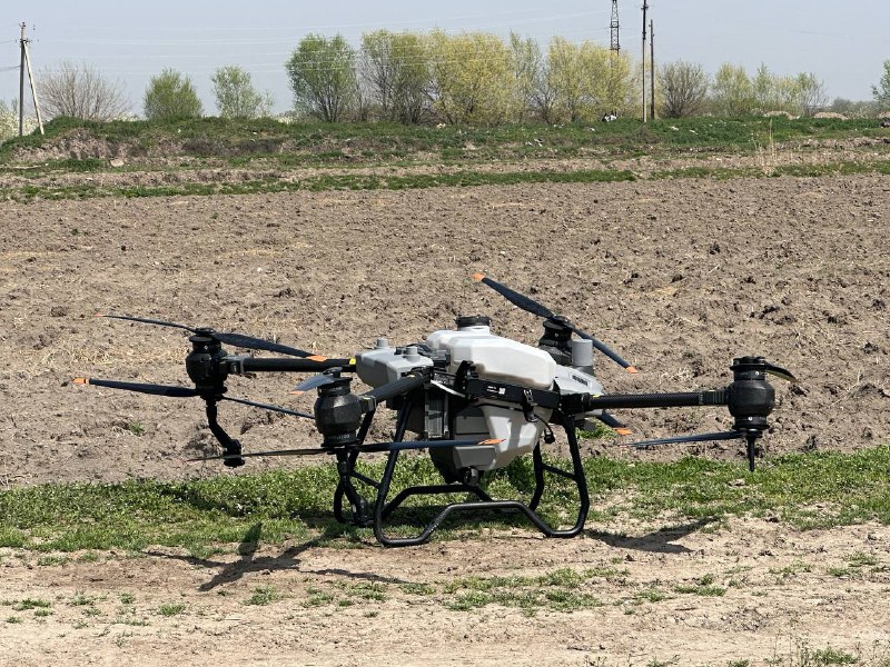 Sholichilikda innovatsiya: agrodrondan samarali foydalanish bo‘yicha amaliyot