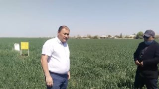 Agro_maslahat