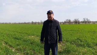 AGROTAVSIYA