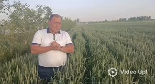 Agro_tavsiya