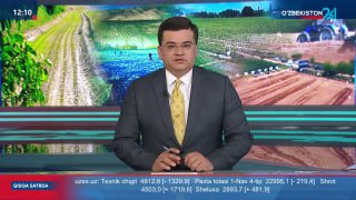 Milliy markaz tizimidagi Lalmikor dehqonchilik ilmiy-tadqiqot institutining markaziy tajriba dalasida 2025-yil hosili uchun lalmikor yer maydonlarida no‘xat yetishtirishda ilg‘or texnologiyalarni…