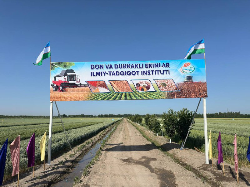 Birozdan so‘ng Milliy markaz tizimidagi Don va dukkakli ekinlar ilmiy-tadqiqot institutida “Boshoqli don, dukkakli hamda yem-xashak ekinlarining yangi navlarini yaratish va yetishtirishda innovatsion…