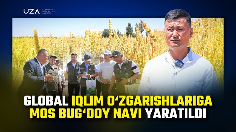 Innovatsion yondashuvlar – yuqori hosilga zamin