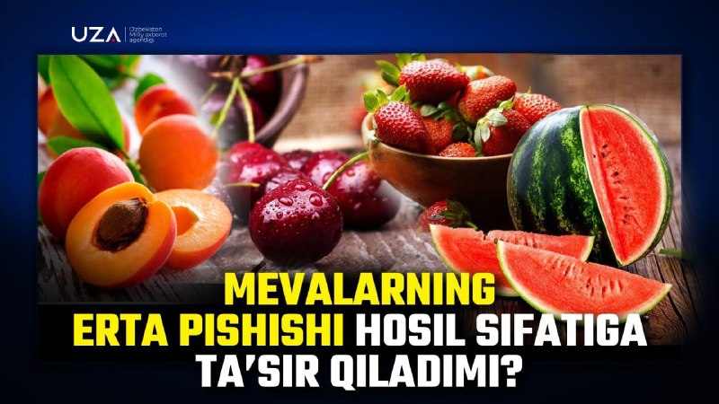 MEVANING ERTA PISHISHI UNING SIFATIGA QANDAY TA’SIR QILADI?