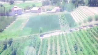 Samarqandda mevali daraxtlarning yangi navlari yaratilmoqda