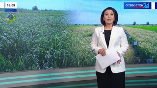 "Oʻzbekiston 24" telekanalining "Fakt 24" informatsion dasturida "Bir maydonda ham sholi, ham baliq yetishtirish tajribasi" sarlavhasi ostida lavha efirga uzatildi.