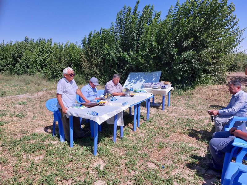 O‘zbekiston Respublikasi Prezidentining 2022 yil 20 maydagi “Dorivor o‘simliklarni madaniy holda yetishtirish va qayta ishlash hamda davolashda ulardan keng foydalanishni tashkil etish…