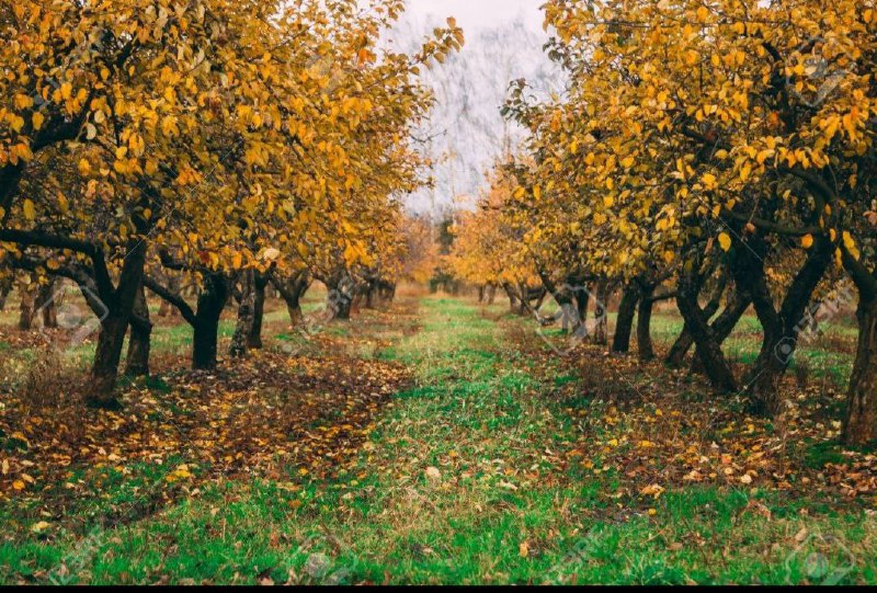 Agro_tavsiya