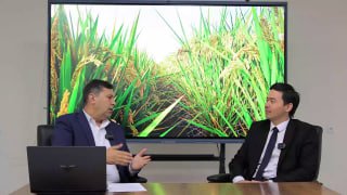 Qishloq xo‘jaligida bilim va innovatsiyalar milliy markazi bo‘lim bosh mutaxassisi Abdullaxon Shukurov Yaponiya tajribasi bilan qaytdi!