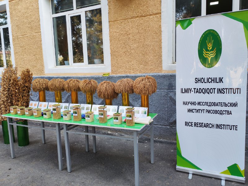 Ayni daqiqilarda Sholichilik ilmiy-tadqiqot instituti faoliyati va ilmiy yutuqlari bilan tanishish uchun Innovatsion rivojlanish agentligi huzuridagi "MUNIS PRIM" loyihasi doirasida ochiq eshiklar…