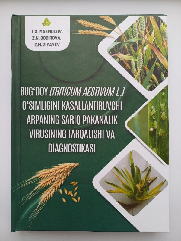 Monografiya