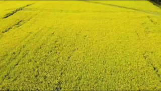 Hurmatli qishloq xo‘jalik xodimlari va fermerlar! Yerni qayta ijaraga berish bo‘yicha e’lon qilgan videomizdan so‘ng, juda ko‘plab savollar kelib tushdi. Shu bois, aniq javob tayyorlash uchun Qishloq…