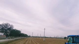 agro_life