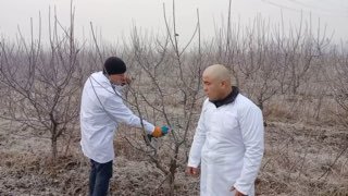 Agro_tavsiya