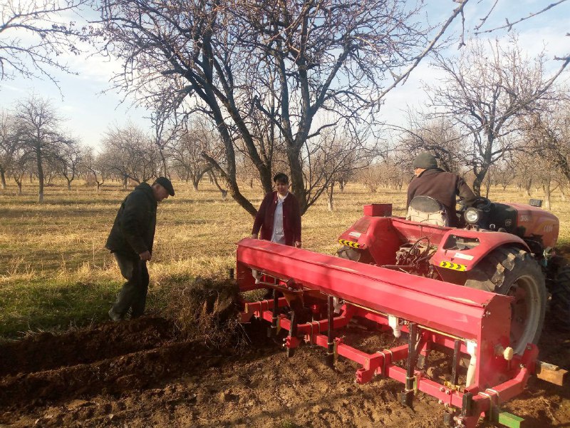 agrotexnika