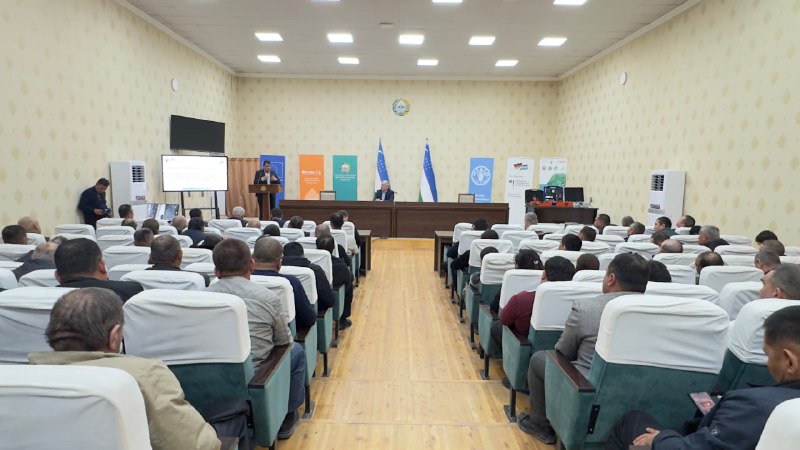 Qashqadaryoda lalmi yerlarda no‘xat yetishtirish bo‘yicha o‘quv seminari o‘tkazildi
