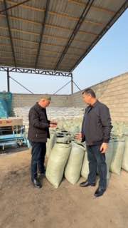 Biochar — tuproqqa quvvat beradigan oddiy innovatsiya