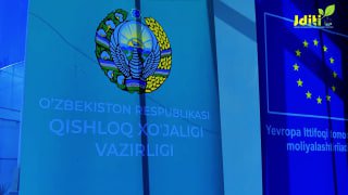 Qishloq xo'jaligida bilim va innovatsiyalar milliy markazi tizimidagi Janubiy dehqonchilik ilmiy-tadqiqot instituti "Genom va biotexnologiyalar" laboratoriyasida tezkor seleksiya bo`yicha…