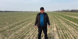 Kuzgi boshoqlidon ekinlarini bargidan oziqlantirish— hosildorlik va don sifatini oshirish demakdir