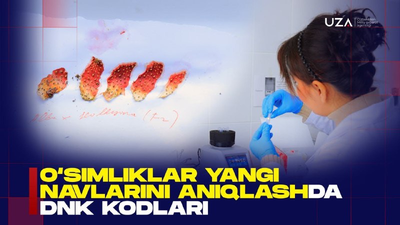 DNK kodlari orqali o‘simliklarning yangi turlarini aniqlash