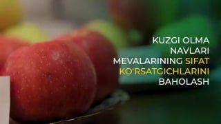 ITI #degustatsiya #olma_navlari