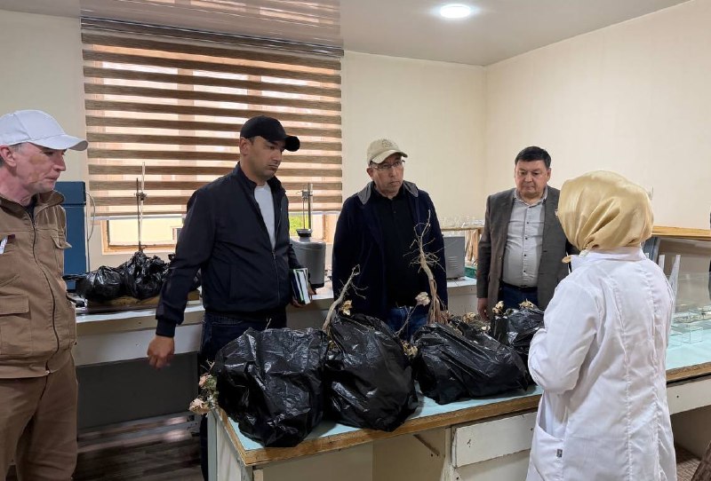 Buxoro: ilm va amaliyot uyg‘unligini ta’minlash ustuvor vazifa