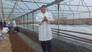 In-vitro usulida olingan mini tuganaklar tuproqqa qadalmoqda