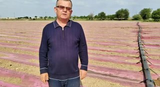 Agro_tadqiqot