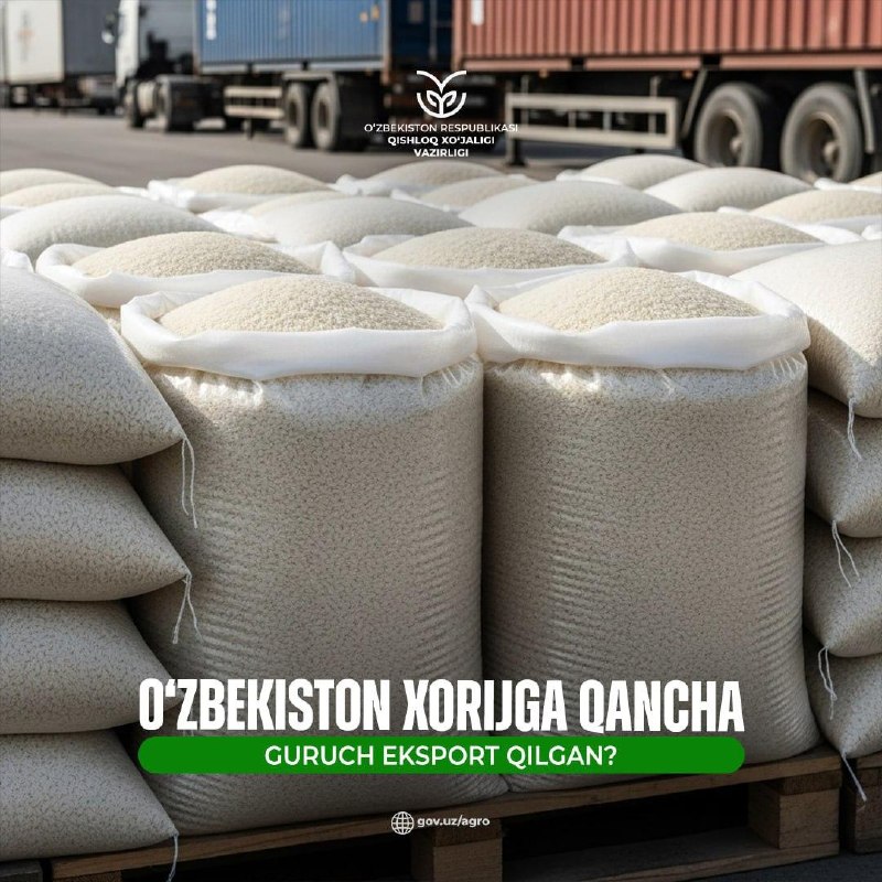 O‘zbekiston 3 oyda 1,2 ming tonna guruch eksport qilgan