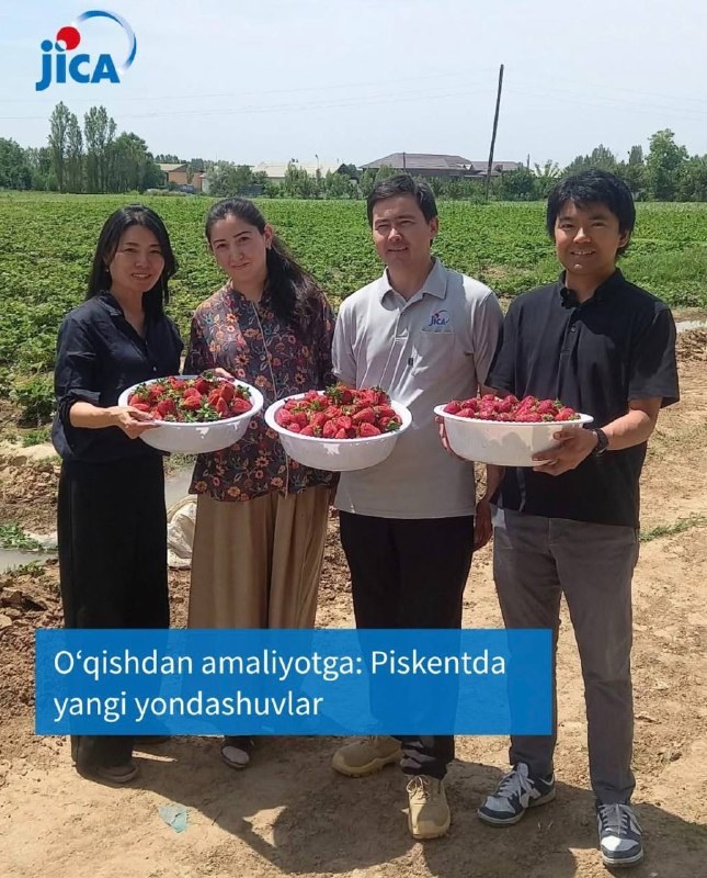 JICA bitiruvchisi Yaponiya tajribasini Piskentda joriy etmoqda