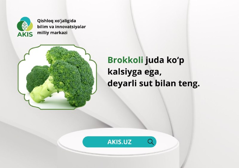 BU_QIZIQ