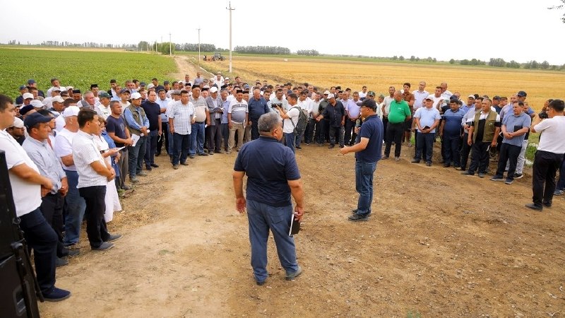 Agrotexnik tadbirlarni to‘g‘ri tashkil etish – yuqori hosildorlik gavoridir