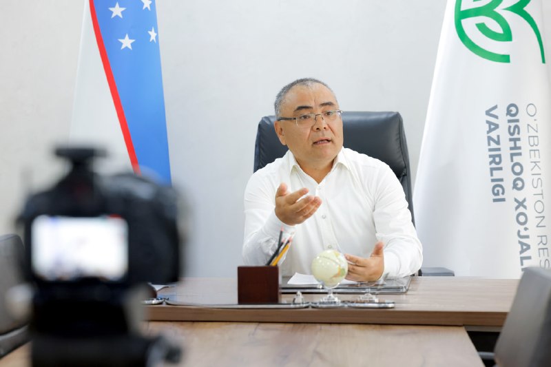 Har bir kun hisobli: paxtachilikda muhim vazifalar belgilandi