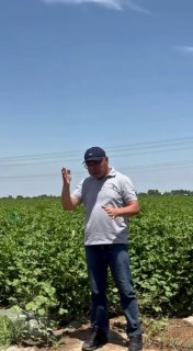AGRO_TAVSIYA