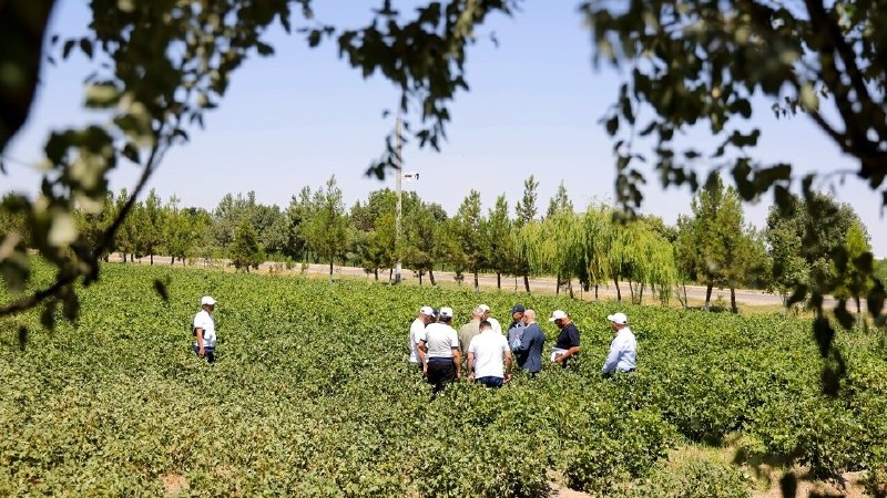 Ilg‘or texnologiya va intizomli agrotexnika — yuqori hosil garovi