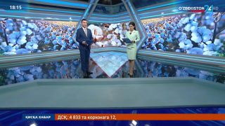Факт 24 | Янги пахта нави: унумдорлиги паст ердан ўртача 40 центнер ҳосил