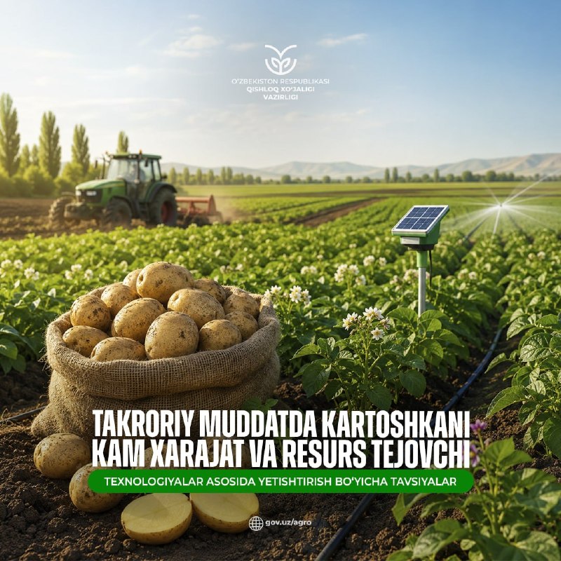 Qishloq xo‘jaligi vazirligi, Qishloq xo‘jaligida bilim va innovatsiyalar milliy markazi hamda Sabzavot, poliz ekinlari va kartoshkachilik ilmiy-tadqiqot instituti olimlari tomonidan “Takroriy…