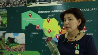 Saida Egamberdiyeva, “Mehnat shuhrati” ordeni sohibasi, Paxta seleksiyasi, urug‘chiligi va yetishtirish agrotexnologiyalari ilmiy-tadqiqot instituti laboratoriya mudiri
