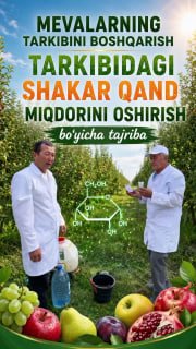 Mevalarning sifat ko'rsatkichlarini oshirishga qaratilgan ilmiy tajriba
