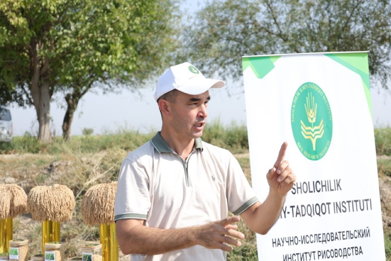 Bekobodda sholichilikda resurs tejamkor texnologiyalarni joriy etish masalalari muhokama qilindi