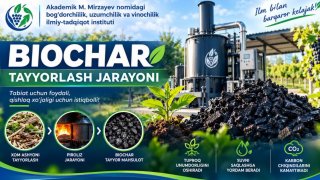 Mevali bog‘lar shox-shabbalaridan biochar: innovatsion texnologiya amaliyotda